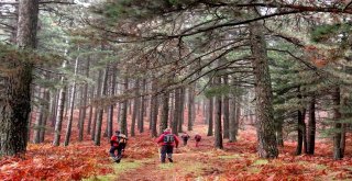 Keşif Yolcuları Kazdağlarında Sonbahar Renklerinin Peşinde