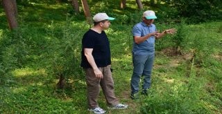 İğneada Longoz Ormanları Milli Parkı İncelendi