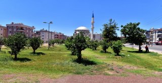 Kepeze Anadolu Bahçesi