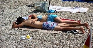 Bodruma 330 Bin Araç, 264 Özel Jet Ve 1955 Uçakla Geldiler