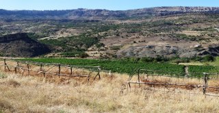 Bu Biber Başka Yerde Yetişmiyor