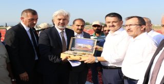 Bakan Pakdemirli Tarlaya İndi, Traktör Kullandı