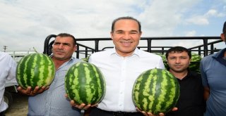 Karpuz Üreticilerinden Başkan Sözlüye Teşekkür
