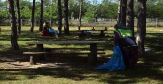 Piknik Alanındaki Çöpler Temizlendi