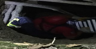 Kuyuya Düşen Kurbanlık Koyunu İtfaiye Kurtardı