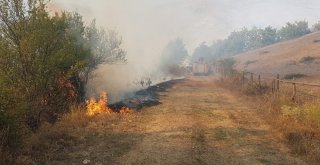 Gümüşhanedeki Örtü Yangını Kontrol Altına Alındı