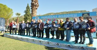 Pamukkale Belediyesi 1. Vosvos Festivali Başladı
