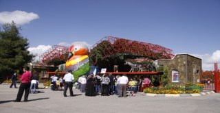 Rengarenk Kelebekler Gaziantepte Uçacak