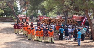 Mersinde 16 Ülkeden 29 Ormancıya Çölleşme Ve Yangın Eğitimi