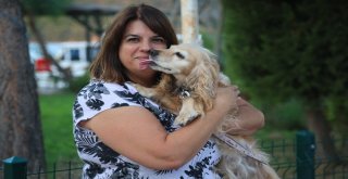 Emily Sokak Hayvanları İçin Çalışıyor