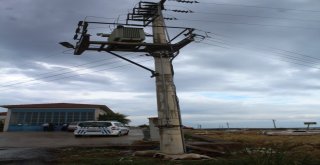Trafo Direğinin Altından Geçen Koyunlar Elektrik Akımına Kapılarak Telef Oldu