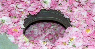 ‘Gülde Coğrafi İşaret Tamam, Sıra Unesco Dünya Mirası Listesinde