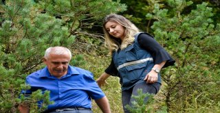 Zigananın Ormanları Ondan Soruluyor