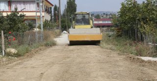 Erdemlide Yol Ve Asfaltlama Çalışmaları Sürüyor