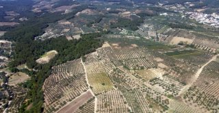 Uyuşturucu Tarlalarına Hava Destekli Operasyon