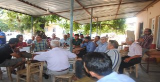 Domates Güvesi Ve Akdeniz Meyve Sineğine Karşı Mücadele