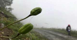 Gümüşhaneli Dağcılar Dünyanın En Tehlikeli Yolunda