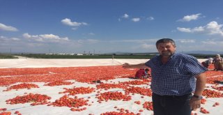 Manisanın Kurutulmuş Domatesleri Dünya Pazarında