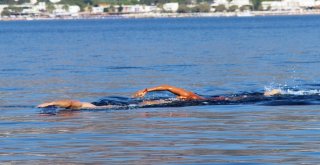 Bodruma 1 Mil Uzaklıktaki Adaya Yüzerek Ulaşıp, Dev Türk Bayrağı Açtılar
