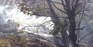 Bursada 2 Orman Yangını Çıktı, Ekipler Anında Müdahale Etti