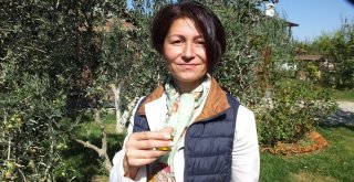 Prof. Harzadın: Zeytinyağı Çocukların Beyin Gelişimi İçin Çok Faydalı