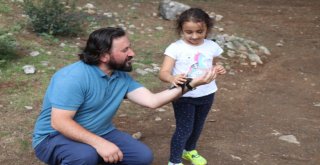 Gizemini Koruyan Ebabil Kuşu Karabükü Yurt Edindi