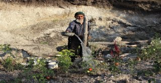 Hiç Evlenmedi, 30 Yıldır Dağda Tek Başına Yaşıyor