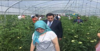 Tarımla Engelleri Aşıyoruz İlk Meyvelerini Verdi