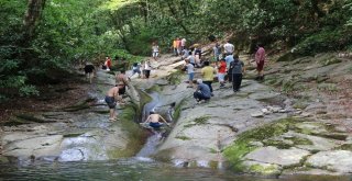 Kayalıdere Şelaleleri Ziyaretçi Akınına Uğruyor