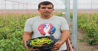 Suriyeli Mülteciler Yetiştiriyor, Türk Kursiyerler İşliyor