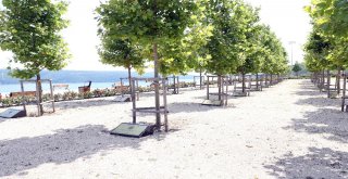 İstanbul Büyekşehir Belediyesi 15 Temmuza Özel Etkinliklerle Hazırlanıyor