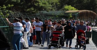 (Özel Haber) Gaziantep Hayvanat Bahçesi Rekorları Alt Üst Ediyor