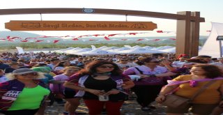 Geçici Hayvan Bakımevi Hizmete Açıldı