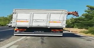 Boru Taşıyan Otomobil Trafiği Tehlikeye Düşürdü