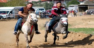 Muğlada ‘Rahvan Atyarışı