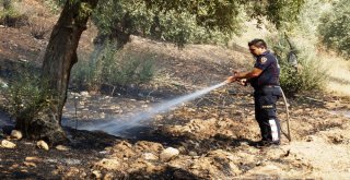 Madde Bağımlıları Tralleis Antik Kentini Yakıyordu