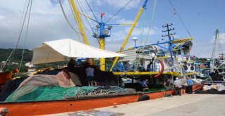 Karadenizli Balıkçılarda Sezon Heyecanı