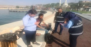 Edremitte Çevreyi Kirletenlere Cezai İşlem Uygulandı