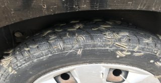 Üreticisinin Kabusu ‘Amerikan Beyaz Kelebeği Fındıkları Sardı