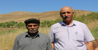 Eşek Sırtındaki Diyaliz  Yolculuğu Sona Erdi