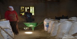 Muştan Almanyaya Tandır