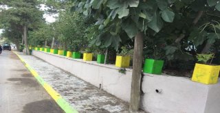 Atıklar Değerlendiriliyor, Mahalleler Çiçekleniyor