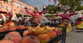 Tahtalı Şeftalisi Bu Festivalle Adını Duyuruyor