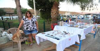 Emily Sokak Hayvanları İçin Çalışıyor