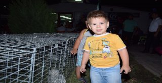 Sultan Tavukları Çocukları Cezp Etti