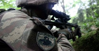 Jöperler İlk Defa Bu Kadar Yakından Görüntülendi