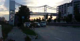 Bursada Başı Boş Atlar Trafiği Tehlikeye Soktu