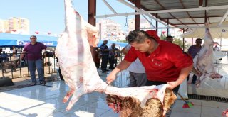 Büyükşehirden Ücretsiz Kurban Kesimi