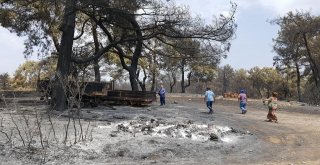 Yangın Sonrası Geri Döndü Aracını Küle Dönmüş Buldu