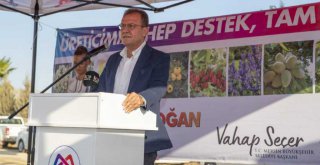 Başkan Seçer İncir Üreticilerine Verdiği Sözü Yerine Getirdi